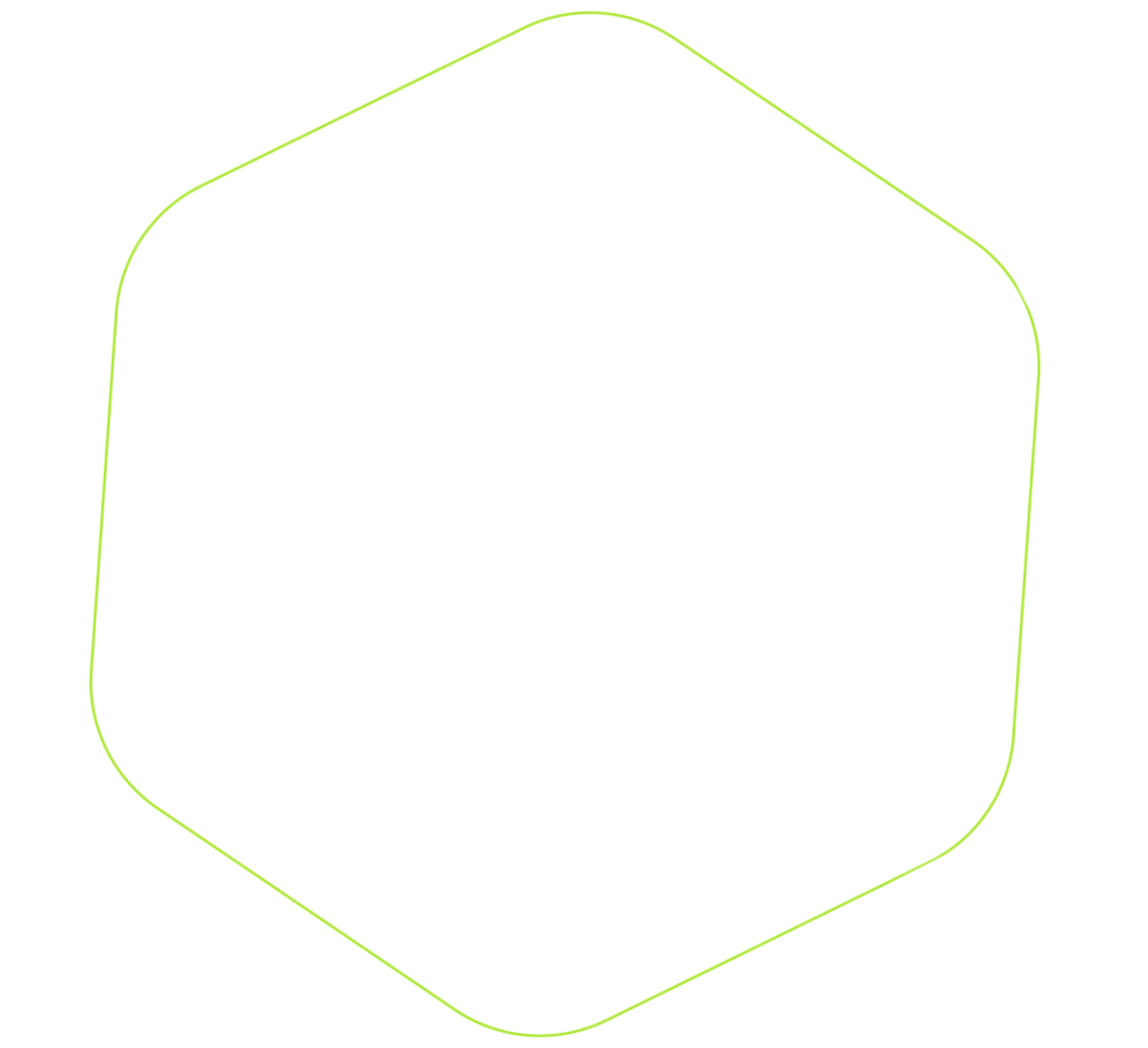 Seta